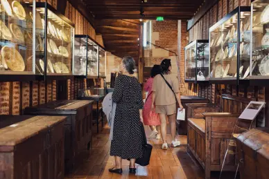 Visite guidée générale