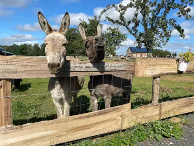 Journée à la ferme 