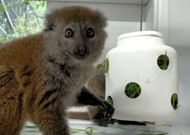 Dans la peau d'un soigneur : Mission bien être animal 