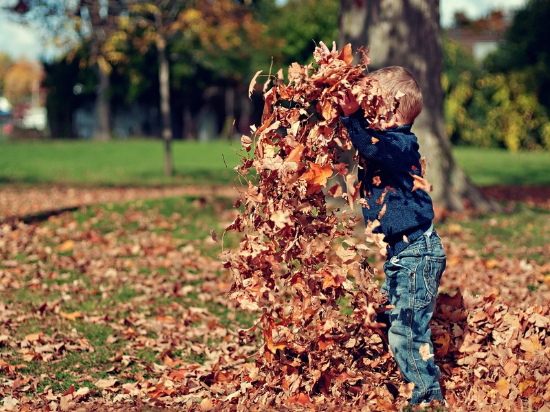Atelier petite enfance - L'automne 
