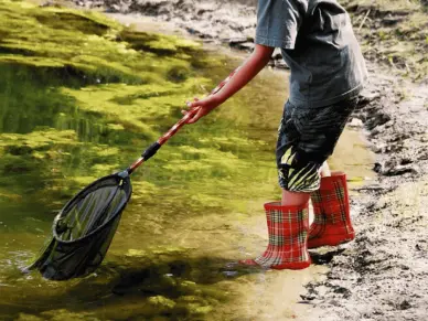 Découverte nature en famille - Approche sensorielle de la rivière 