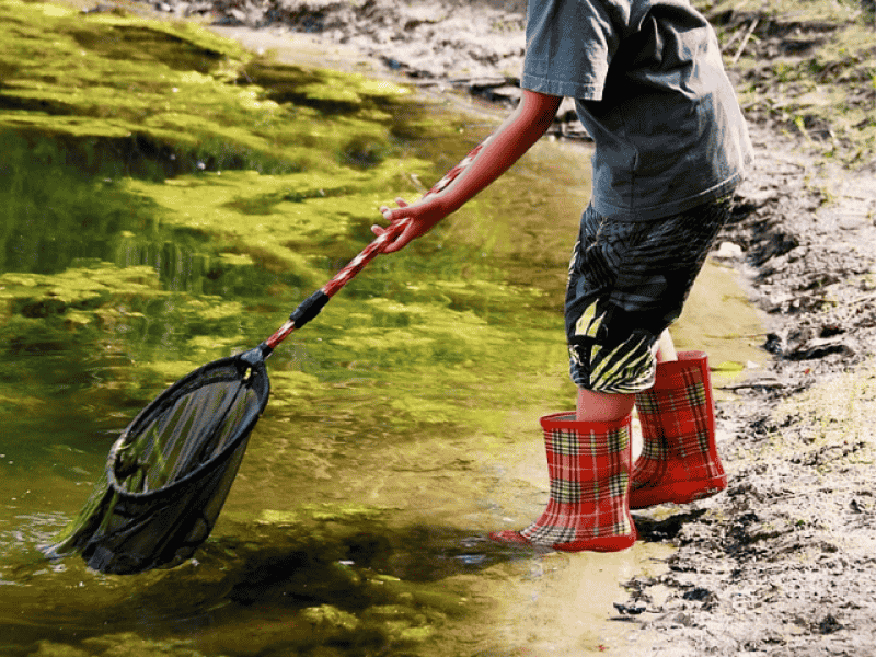 Découverte nature en famille - Rivière et compagnie