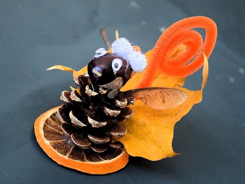 Découverte nature en famille - Déco d'hiver et couronnes d'hiver 