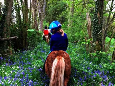 Balade sur islandais