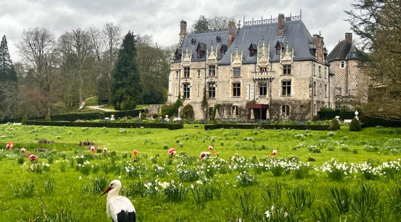 Un air de printemps en Normandie autour de Rouen.