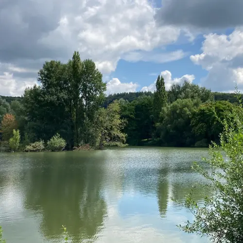 Vos infos pros de novembre 2025