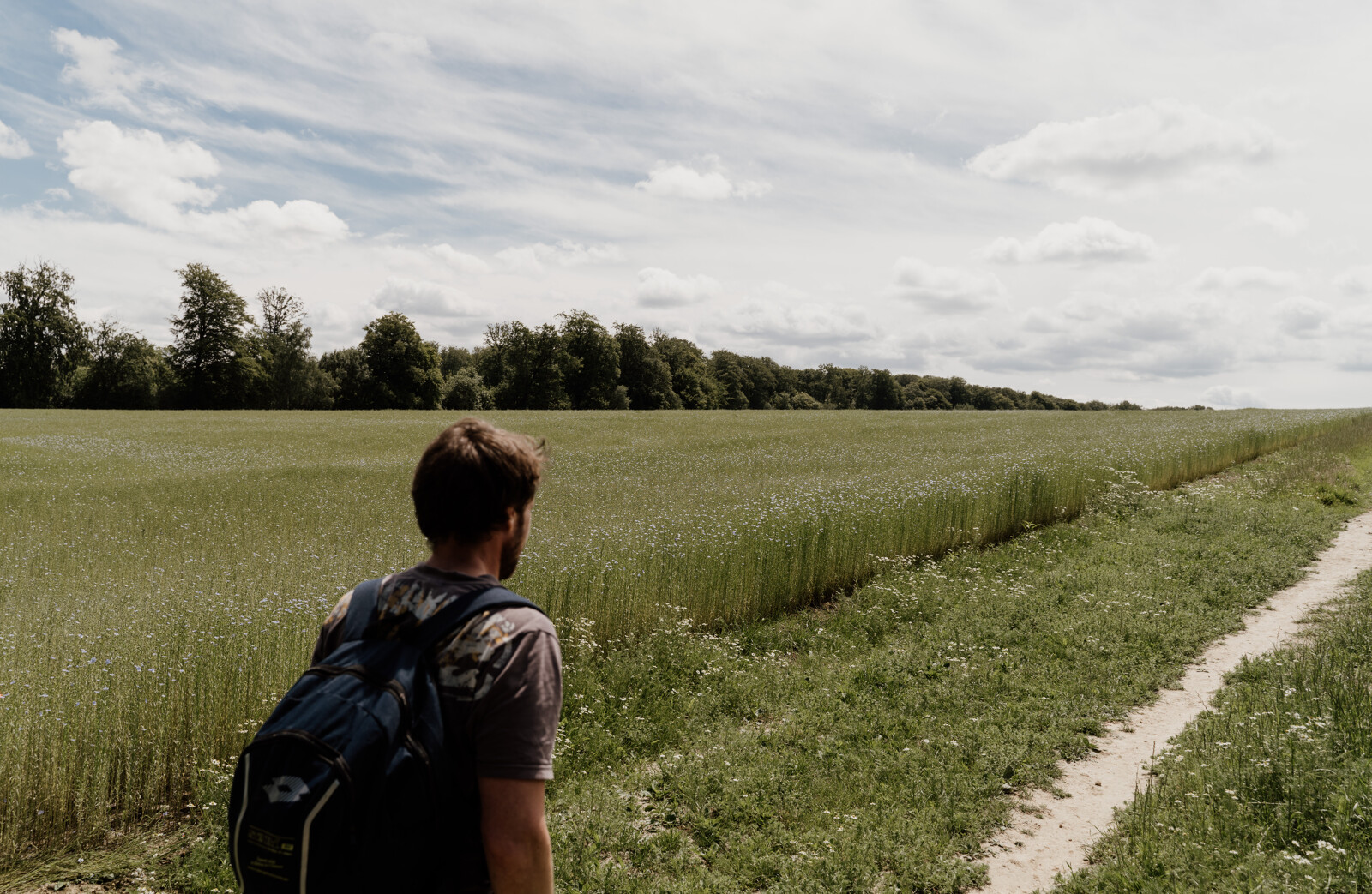 Promenades et randonnées en Normandie près de Rouen.
