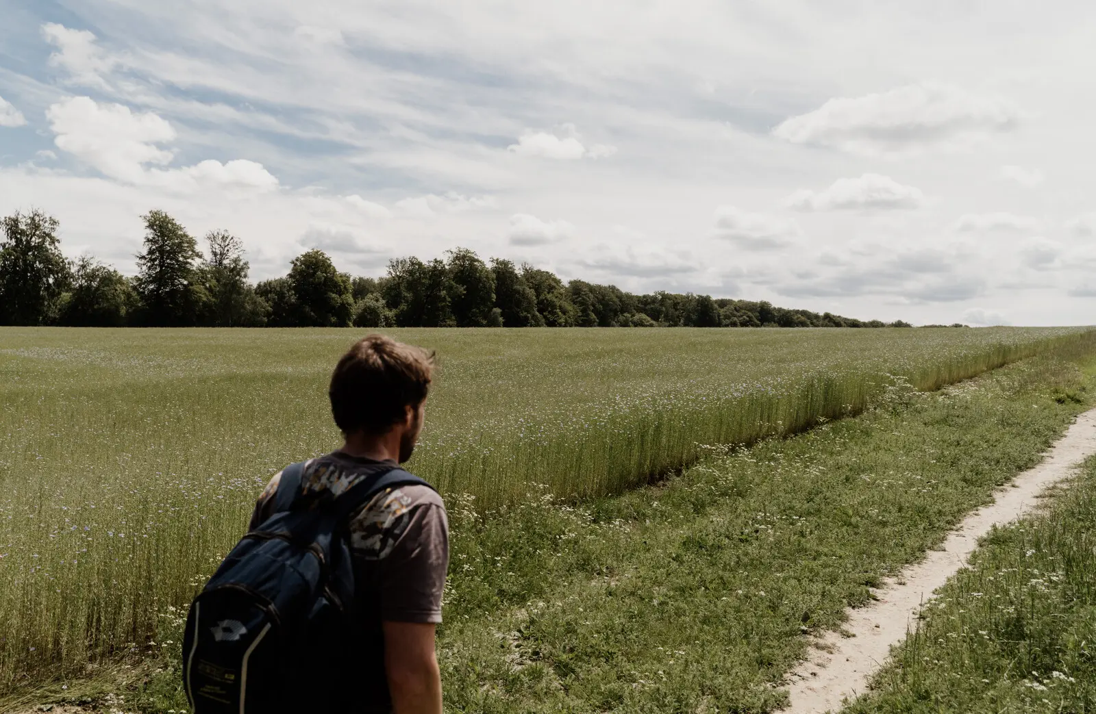 Promenades et randonnées en Normandie près de Rouen.