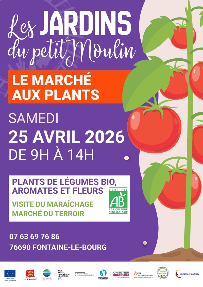 Marché aux plants