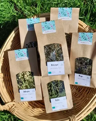 Tisanes / Voyage au coeur des plantes