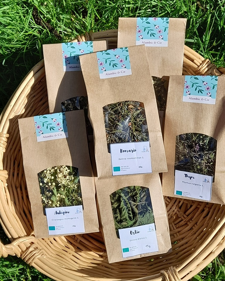 Tisanes / Voyage au coeur des plantes