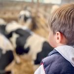 Atelier bébés fermiers [complet]