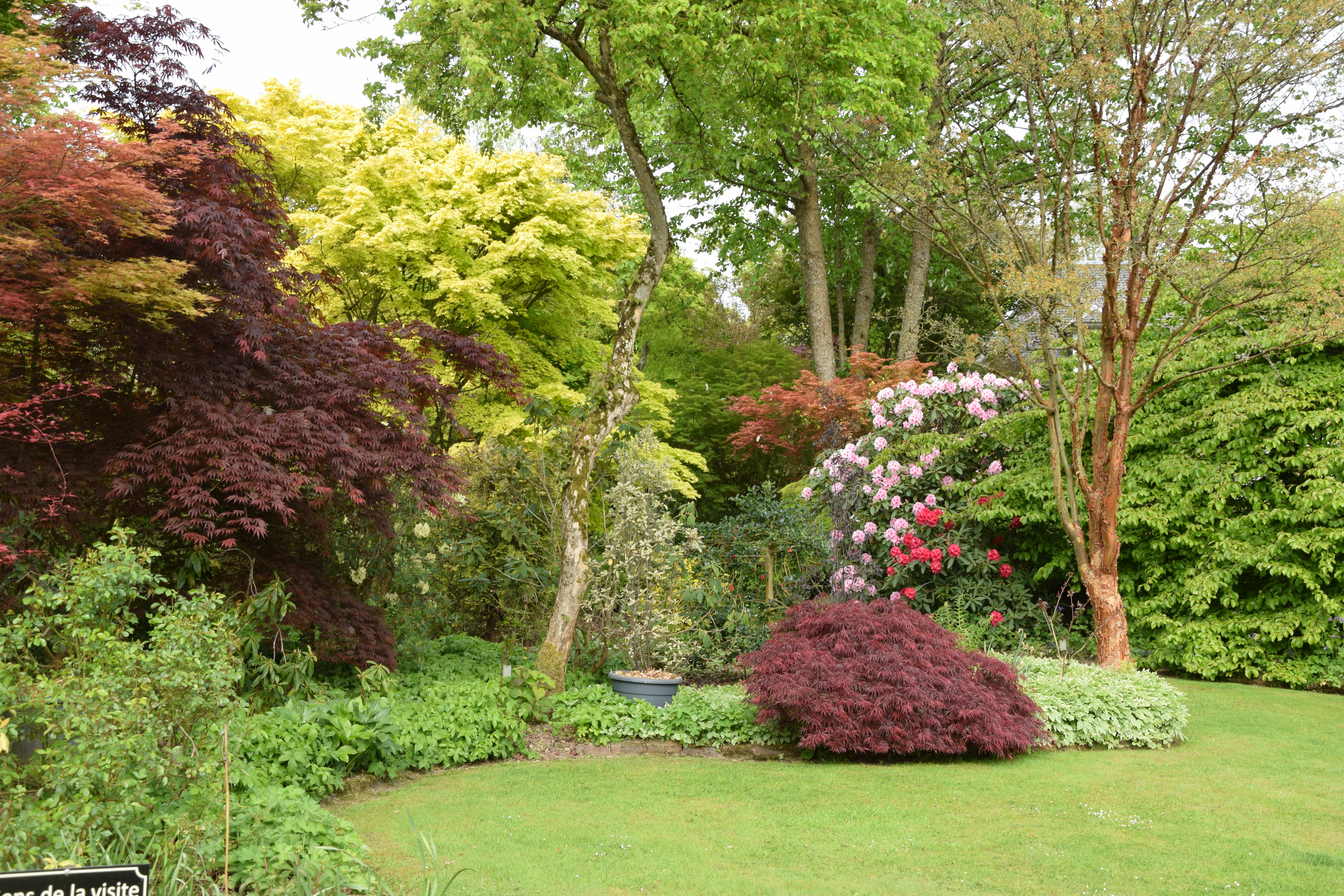 Rendez-vous aux jardins