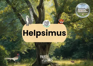 Weekend  conservation - Helpsimus 