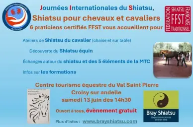Shiatsu pour chevaux et cavaliers