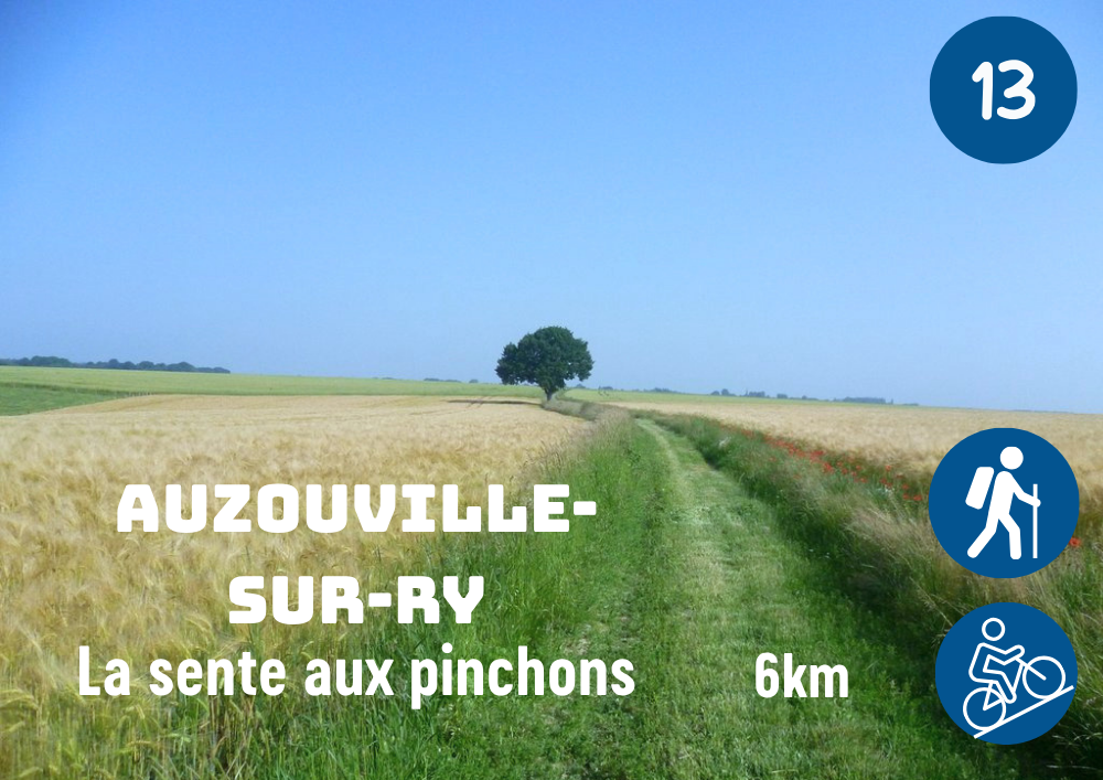 Auzouville-sur-Ry_La sente aux pinchons
