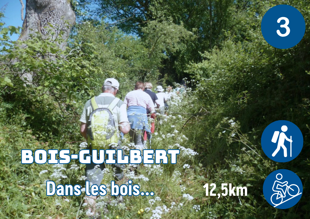 Bois-Guilbert_Dans les bois
