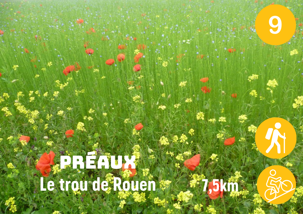 Préaux_Le trou de Rouen

