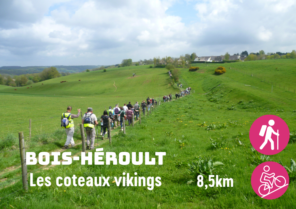 Bois-Héroult_Les coteaux vikings (pas à pas à venir)
