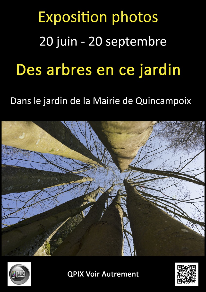 Exposition photo : Des arbres en ce jardin