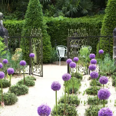 Le Jardin Agapanthe