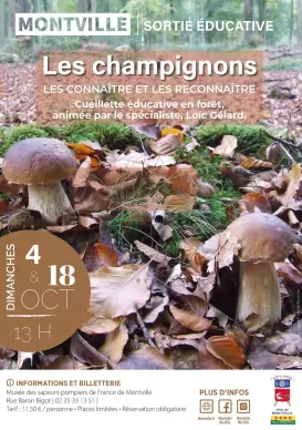 Sorties éducatives : 