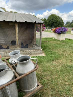 Portes ouvertes à la ferme des Châtaigniers