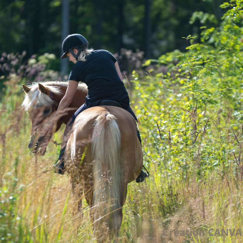 A cheval autour de Rouen et près de Paris 