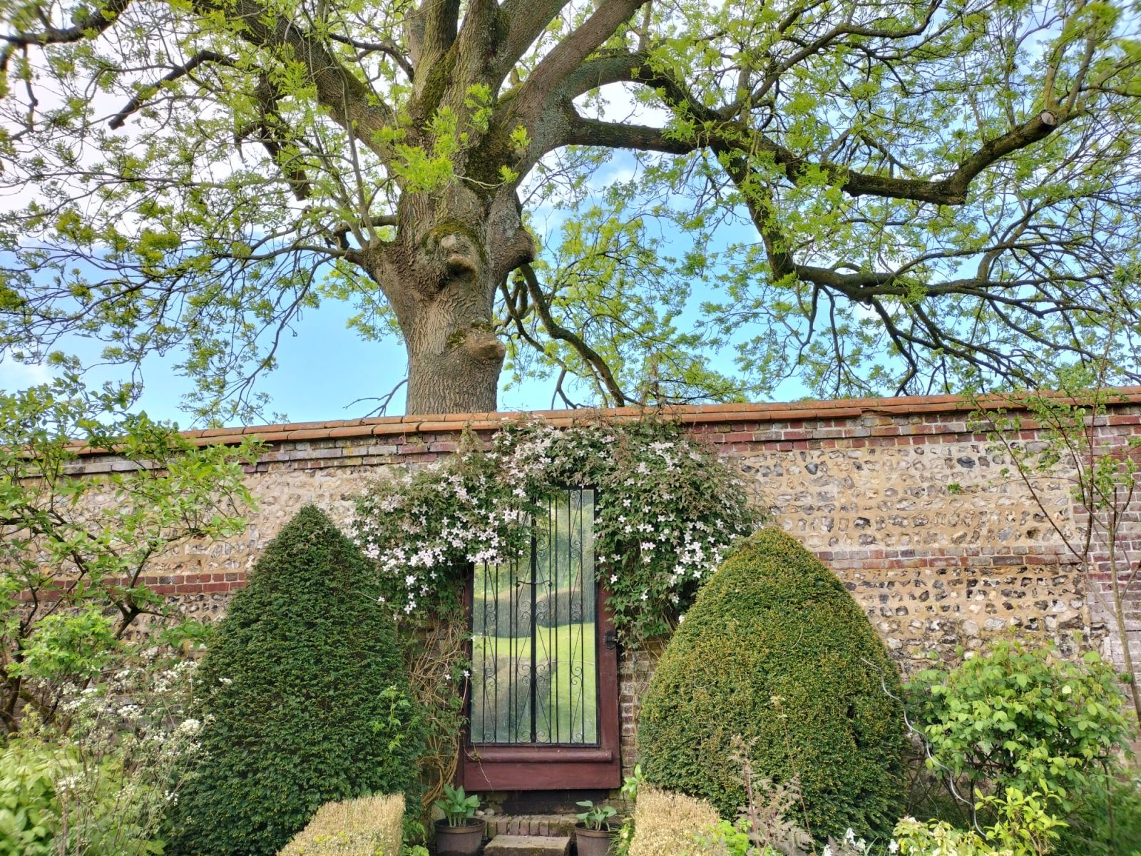 Jardin anglais, mur et rosier