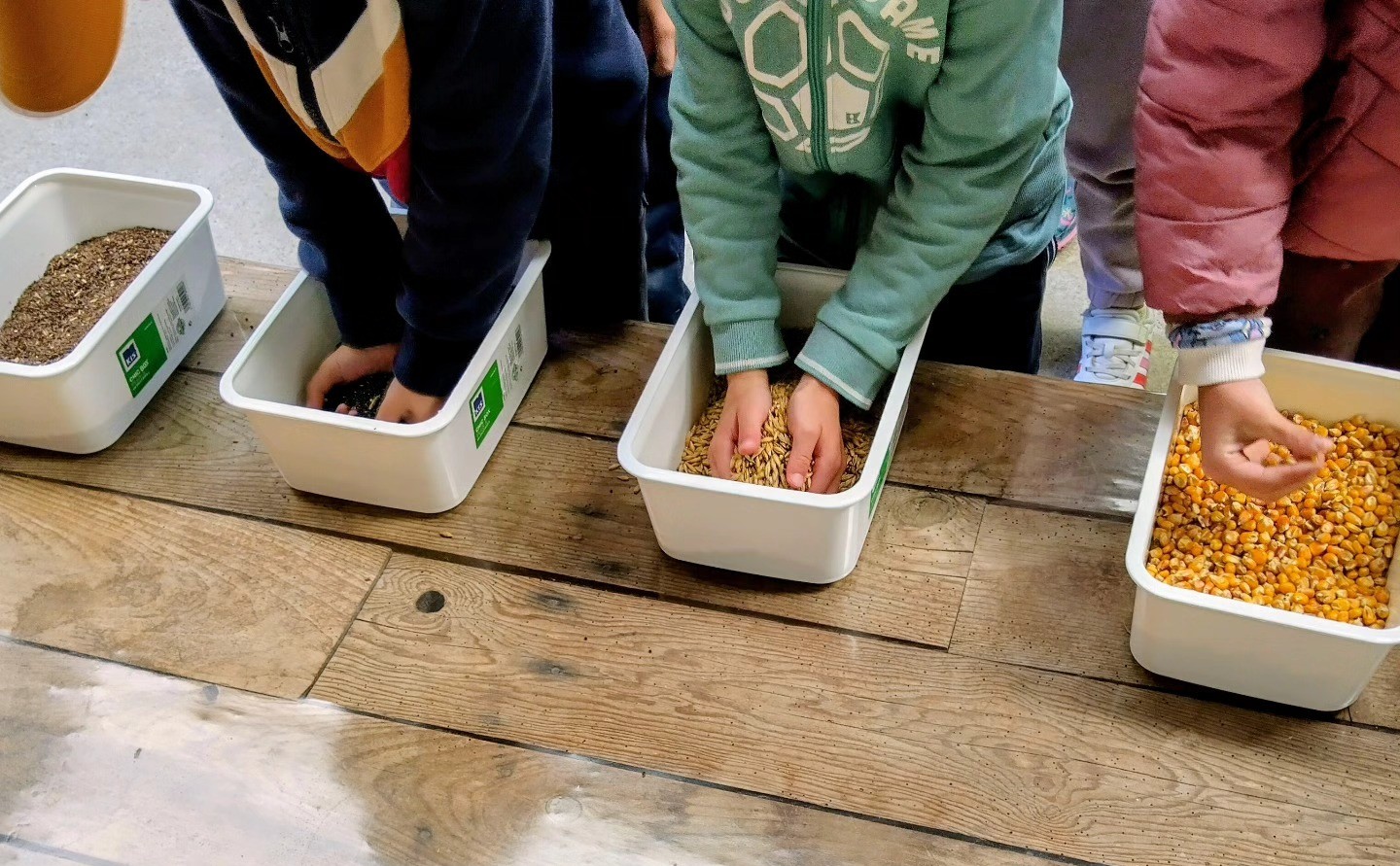 Atelier enfants avec des graines